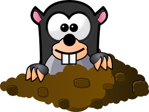mole illustration