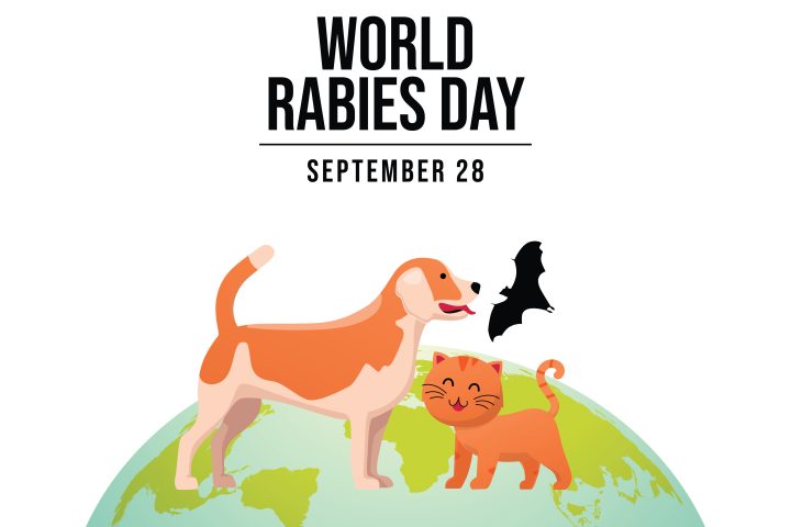 World Rabies Day - September 28 - *illustration of a dog, cat, and bat standing on planet earth*