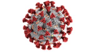 a photo of the Covid-19 virus magnified