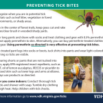 Guidance on how to avoid ticks with images of people walking and spraying bug spray