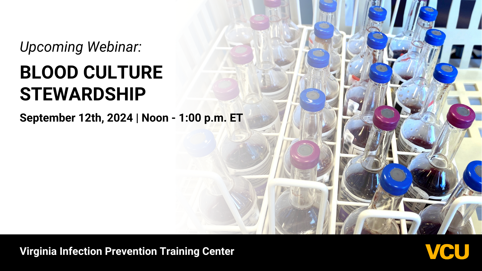 Upcoming Webinar: Blood Culture Stewardship. September 12, 2024. Noon-1:00PM. Virginia Infection Prevention Training Center - VCU.