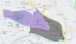 Roanoke Census Tracts