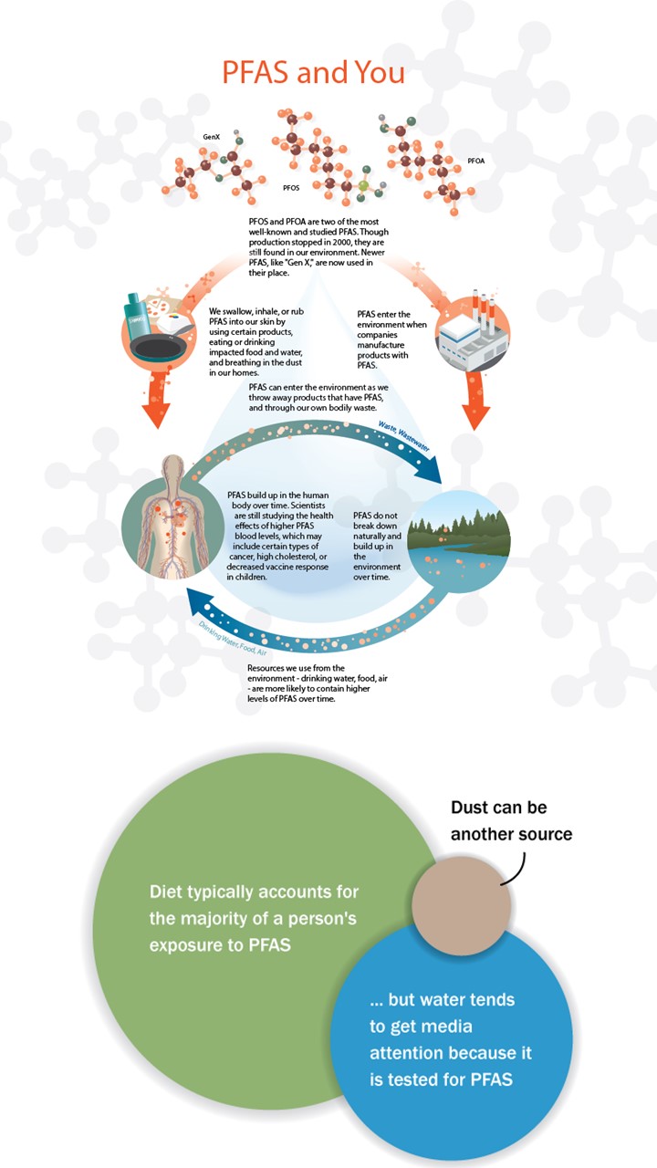 PFAS and You Diagram